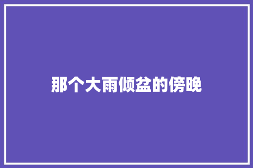 那个大雨倾盆的傍晚