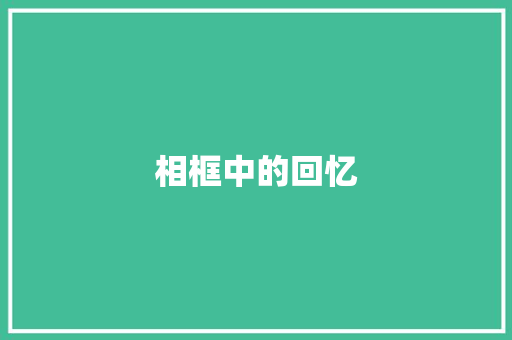相框中的回忆