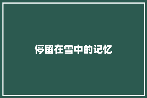 停留在雪中的记忆