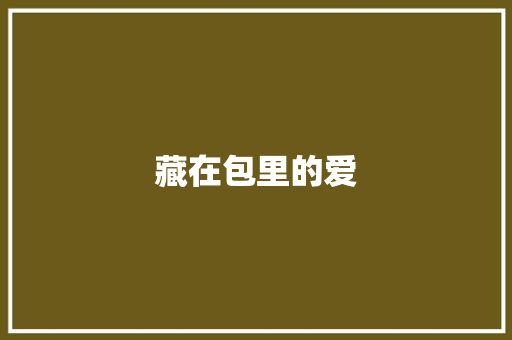 藏在包里的爱