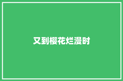 又到樱花烂漫时