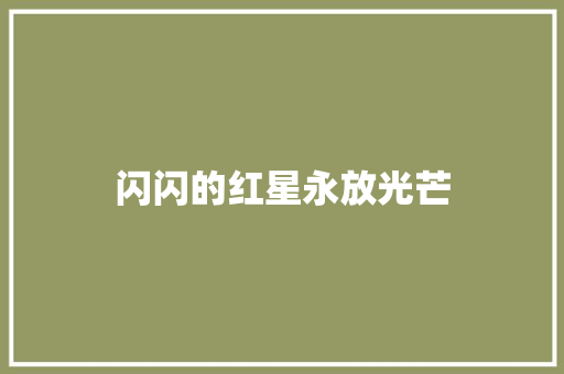 闪闪的红星永放光芒