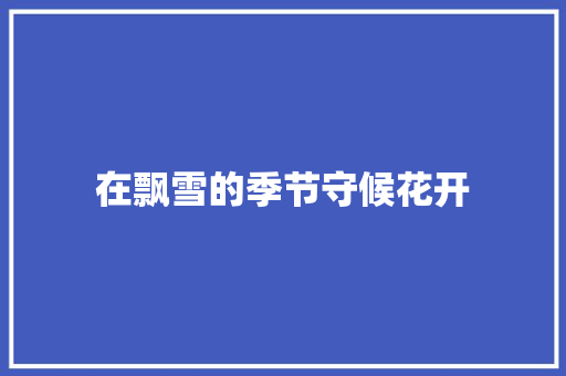 在飘雪的季节守候花开