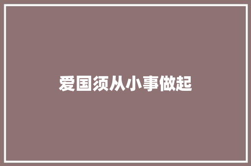 爱国须从小事做起