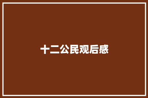 十二公民观后感