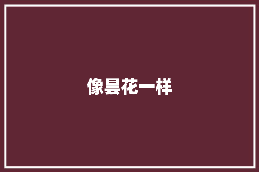 像昙花一样
