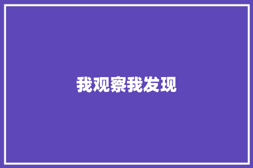 我观察我发现