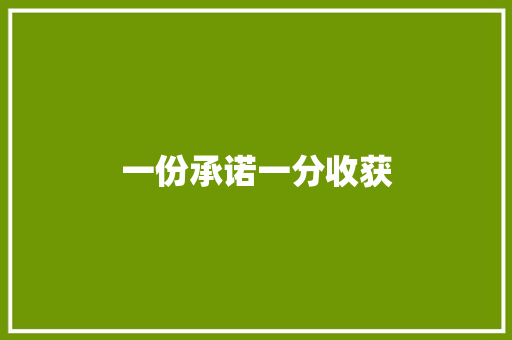 一份承诺一分收获