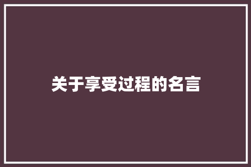 关于享受过程的名言