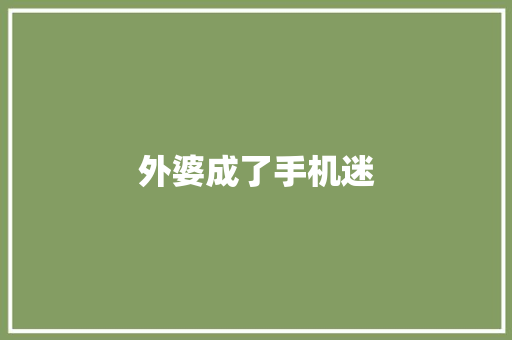 外婆成了手机迷