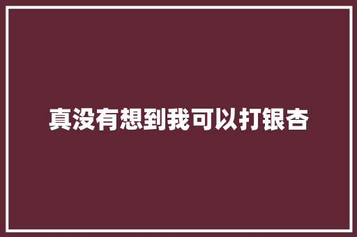 真没有想到我可以打银杏