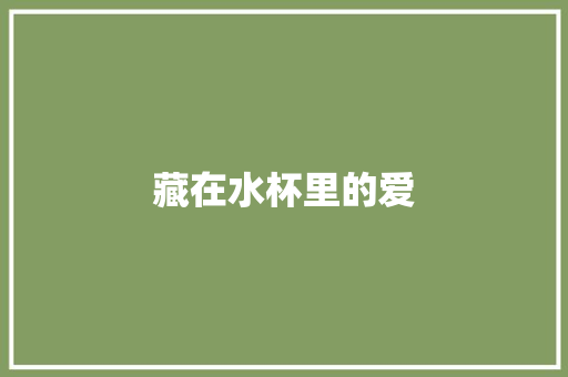 藏在水杯里的爱