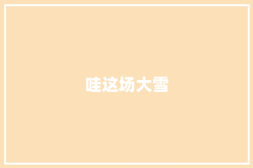 哇这场大雪