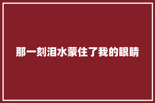 那一刻泪水蒙住了我的眼睛