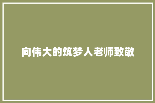 向伟大的筑梦人老师致敬
