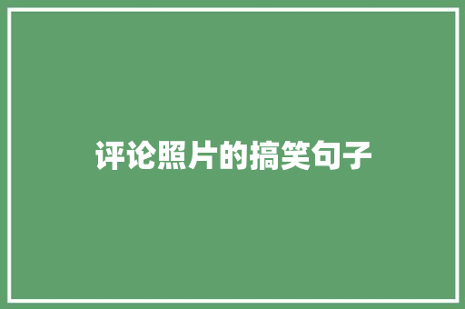 评论照片的搞笑句子