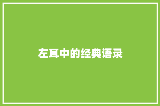左耳中的经典语录