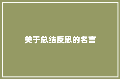 关于总结反思的名言