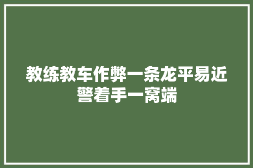 教练教车作弊一条龙平易近警着手一窝端