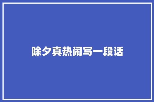 除夕真热闹写一段话