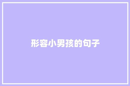 形容小男孩的句子