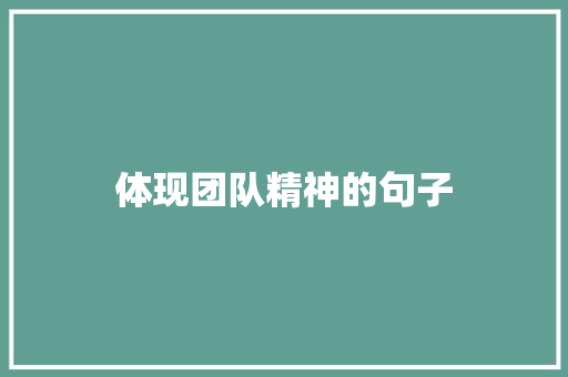 体现团队精神的句子