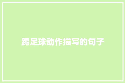 踢足球动作描写的句子