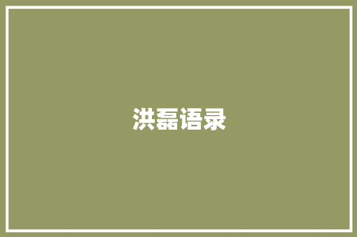 洪磊语录