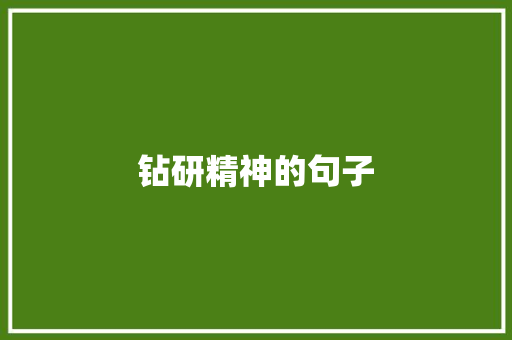 钻研精神的句子