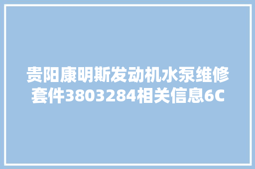 贵阳康明斯发动机水泵维修套件3803284相关信息6CTA83 柴油机