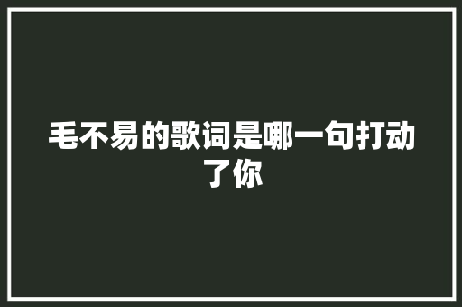 毛不易的歌词是哪一句打动了你
