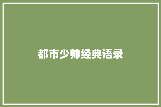 都市少帅经典语录