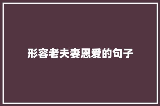 形容老夫妻恩爱的句子