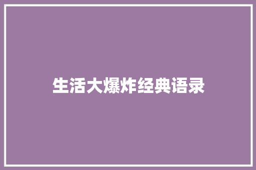 生活大爆炸经典语录