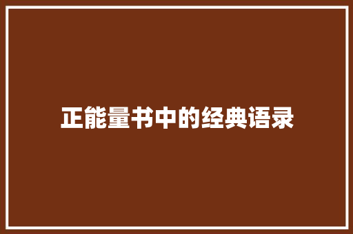 正能量书中的经典语录