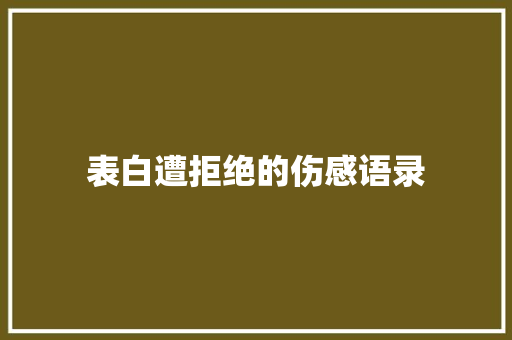 表白遭拒绝的伤感语录