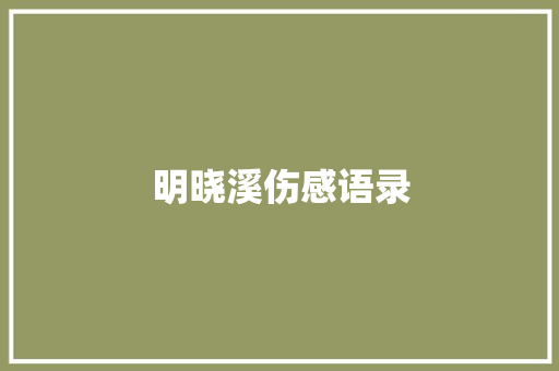 明晓溪伤感语录
