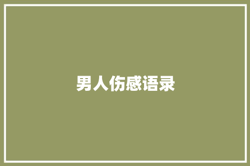 男人伤感语录