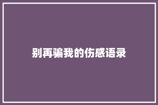 别再骗我的伤感语录