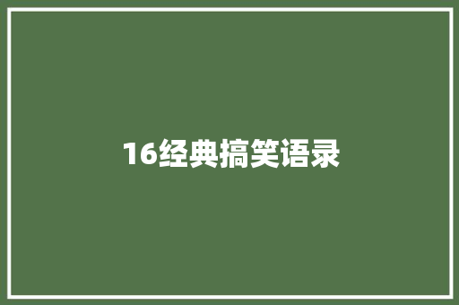 16经典搞笑语录