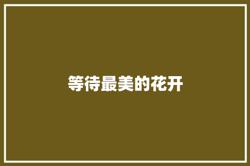 等待最美的花开