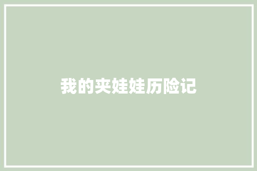 我的夹娃娃历险记