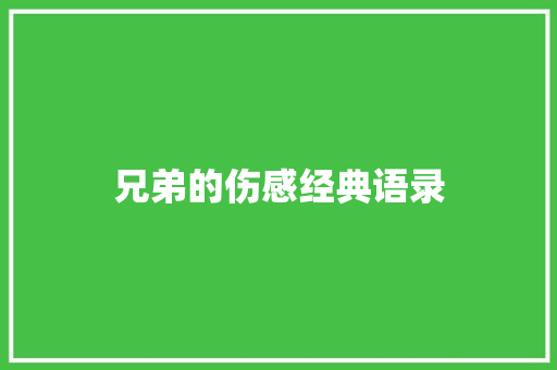 兄弟的伤感经典语录