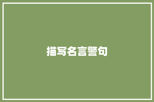 描写名言警句