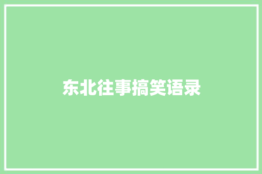 东北往事搞笑语录