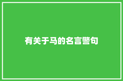 有关于马的名言警句