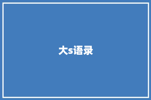 大s语录