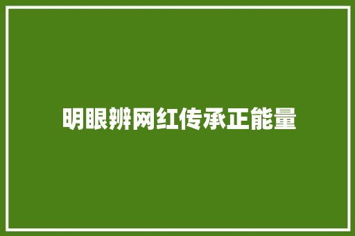 明眼辨网红传承正能量 知识百科