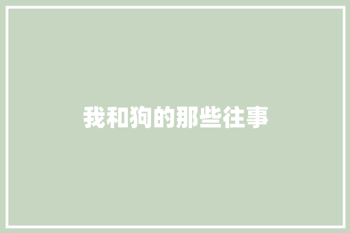 我和狗的那些往事