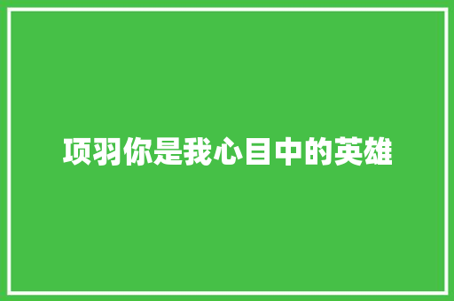 项羽你是我心目中的英雄